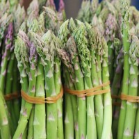 asparagus-1